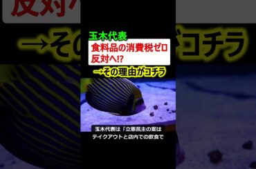 玉木代表、立憲の「食料品の消費税ゼロ案」反対へ!?→その理由がコチラ