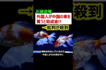 【石破政権】外国人が中国製の車を買っても助成金!? → 批判が殺到!!