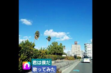 #君は僕だ#前田敦子#あっちゃん#love#好きな曲#歌ってみた#ご視聴ありがとうございます#thankyou#ありがとう#thankyouforwatching#アイドル#アイドルソング#akb