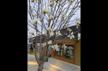 竹内結子さん、素敵すぎて、緊張でした🍓🌕️