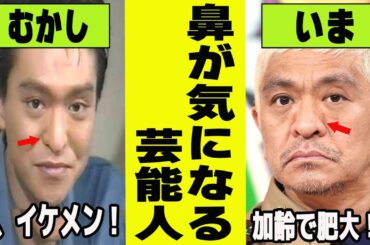 芸能人の鼻に注目ｗ鼻が気になる芸能人【がるちゃん芸能】【有益2ch有益】