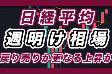 日経平均　週明け相場　戻り売りか更なる上昇か？　【ドル円,NYダウ,ナスダック100,S&P500,SOX】