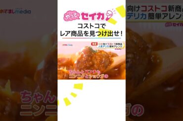 #井上清華 キャスターが #コストコ 新商品や最新 #コストコグルメ を取材 #めざましテレビ #やってセイカ！ #shorts