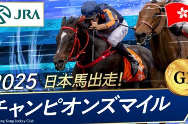2025年 チャンピオンズマイル（G1）| レッドライオン | JRA公式