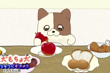 【新アニメ予告】天犬もちょ犬のうちゅうにむちゅう