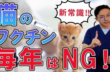 【世界基準2024ver】猫への正しいワクチン接種方法を獣医が紹介