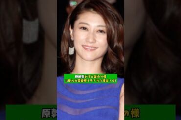 原幹恵がボロ雑巾の様に使われ芸能界を干された理由とは?