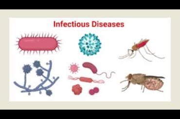 アメリカ人にとって最も危険な5つの健康問題