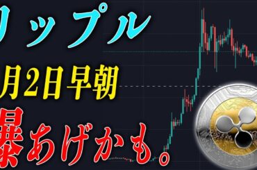 【緊急】リップルにとんでもない情報が入りました！