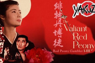 「ヤクザ映画」 緋牡丹博徒 一宿一飯 ✔️📀📽️サスペンスドラマ最新2025 FULL HD