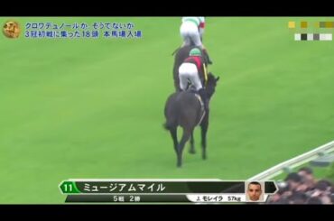 2025年 皐月賞（GI）本馬場入場【ミュージアムマイル】