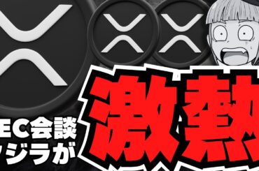 【重要】XRPクジラ情報！SECとリップル社が対談！仮想通貨が揺れる／ビットコイン利下げ無しでも強い