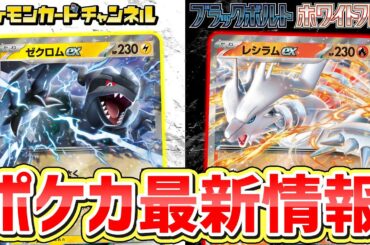 【ポケカ新弾】ゼクロムex・レシラムex登場！新パックに「イッシュ地方」のポケモンとそのAR or SARが全種収録！？【ブラックボルト/ホワイトフレア/ポケモンカード】
