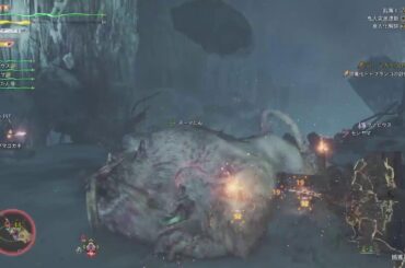 モンハンワイルズの共闘配信(歴戦王チャレンジなど)20250430 #モンハンワイルズ