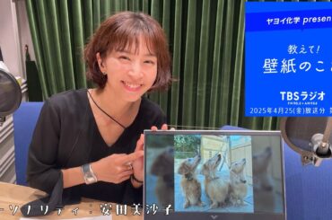 教えて！壁紙のこと。　2025年4月25日(金)放送分　第121回