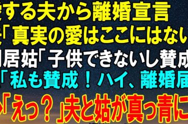 【感動★総集編】愛する夫から突然の離婚宣言…即OKした私に夫と姑が真っ青になった衝撃の理由とは！【感動する話】