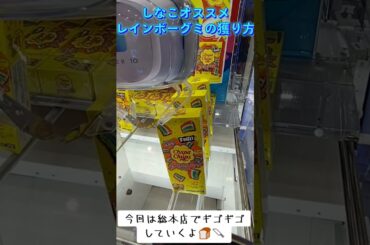#攻略 #ゲーセン #クレーンゲーム #しなこちゃん #レインボーグミ  ゲーセン  TikTok