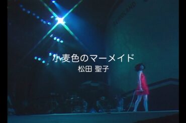 松田聖子「小麦色のマーメイド」（Seikoland 武道館ライブ ’83よりより）