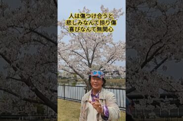 #昭和のポップス歌謡 #80年代ポップス #ドラマ主題歌 #昭和のアイドル歌謡 #昭和のドラマ #懐メロ #想い出のメロディー #青春ポップス歌謡 #岡田有希子 #広岡瞬 #昭和のメロディー #桜