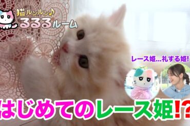 かわいい子猫大集合！ドキドキはじめて体験に大爆笑 猫ルンルン♪るるるルーム るるる 紺野彩夏【公式】