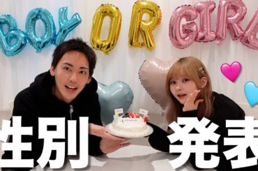 【性別発表】ベビちゃんの性別がわかったのでサプライズで旦那に報告しました【ジェンダーリビールケーキ】