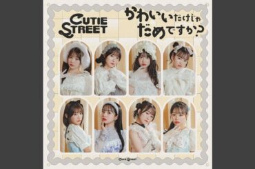 かわいいだけじゃだめですか？