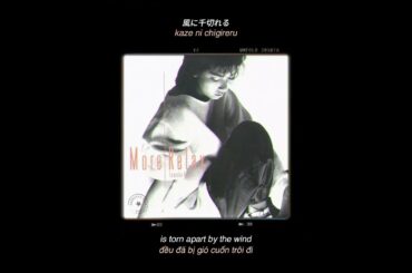 Tomoko Aran 山口智子 – Slow Nights (Kanji & Romaji Lyrics / English & Viet Translation)