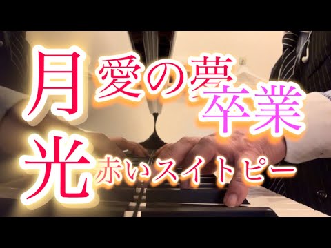 ピアノ 愛の夢/リスト 赤いスイトピー/松田聖子  卒業/菊池桃子 月光/ベートーベン