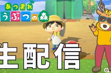 初心者のあつ森！厳選と星５と島に遊びに行きたい！
