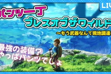 【初見歓迎！】パンツ一丁ブレスオブザワイルド #ゼルダの伝説  #歌姫ローラ #ブレワイ