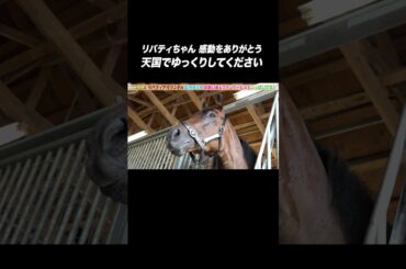 #リバティアイランド 4月27日に5歳で天国へ旅立つ #ありがとう #shorts