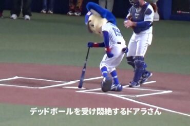 ドアラさん 打つ気満々で始球式に挑むもデッドボール？いやいや…そんなに痛くはないでしょ！