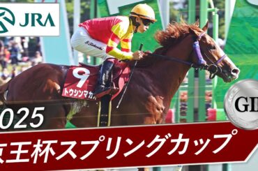 2025年 京王杯スプリングカップ（GⅡ） | トウシンマカオ | JRA公式