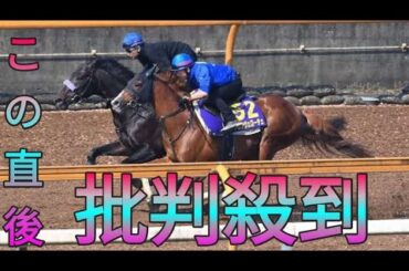 【NHKマイルC】皐月賞最速マジックサンズ　距離短縮で素質開花へ！ Sk king
