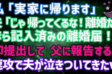 【スカッとする話】夫からの離婚宣言！実家に帰った私が即離婚届を提出、父に報告後、夫が泣きついてきた理由