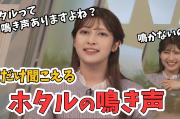 【岡本結子リサ】蛍が鳴くと思っていた結子ちゃん【ウェザーニュース切り抜き】
