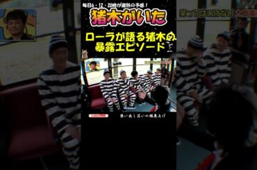 まるで教科書の人物のように語るローラｗ #ガキ使 #お笑い