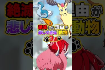 絶滅した理由が悲しすぎる動物３選 #shorts