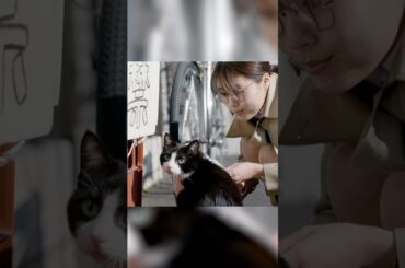 有村架純が演じる役はこれらの人々の保護司を務めている保護司は表面上は国家公務であるが実際には一切の報酬がないボランティアである#shorts#movie#action#Crime#Drama#有村架純