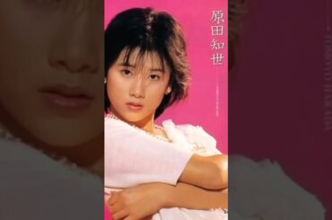 「早春物語」#原田知世cover #映画主題歌 #昭和歌謡 #80年代アイドル #原田知世 #昭和 #歌ってみた #カラオケ #カドカワ #昭和歌謡カバー＊★★