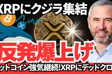 【XRP逆襲】ビットコイン強気継続！XRPに反発の兆し! デッドクロスでも上振れ予兆あり【リップル】【仮想通貨】