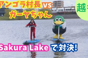 ガーヤちゃんと水上決戦！越谷Sakura LakeでSUPにチャレンジ【いまドキッ！埼玉】2025.5.3放送