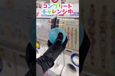 【ちいかわラバーバンド】ガチャガチャコンプリートにいくらかかる？ #ちいかわ #ガチャガチャ #ガチャ #開封動画 #開封 #郎 #モモンガ