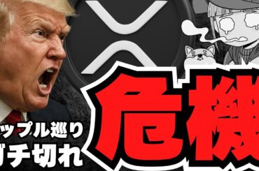 【仮想通貨】リップル危険？トランプガチギレ／ビットコイン上昇はまだ続く？世界のお金が増えている／イーサリアム爆上げ・ソラナも上昇中