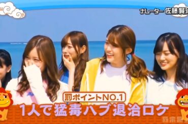 【乃木坂46】「乃木坂工事中」🌈🌈🌈『猛毒ハブを一人で何とかするロケ』