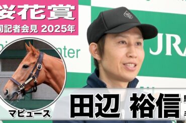 【桜花賞2025】マピュース・田辺裕信騎手「牝馬だけどドシっとしている」「馬の成長力に驚きを感じる」《JRA共同会見》