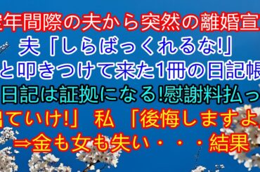 定年が近い夫からの突然の離婚宣言。夫は「ごまかすな！」と叩きつけた１冊の日記帳。「日記は証拠になる！慰謝料を払って出て行け！」私が「後悔しますよ」と言うと、金銭を貢いだ女性も失い…結果。