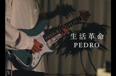 生活革命 - PEDRO／Guitar Cover