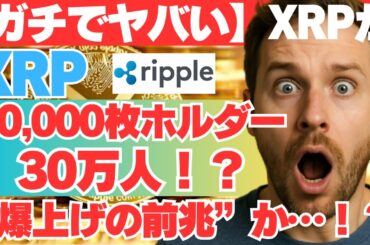 【ガチでヤバい】XRP保有者が爆増中！“10,000枚超”のウォレットが30万件に急増！