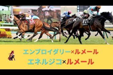 エネルジコ✕ルメール日本ダービーへ＆エンブロイダリー✕ルメールオークスへ